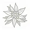 edelweiss ww2 symbolizing strength and pureness  tattoo design idea