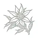 edelweiss ww2 symbolizing strength and pureness  tattoo design idea