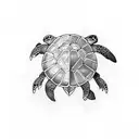 turtle wakeboard  tattoo design idea