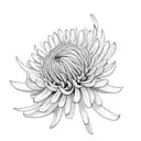 chrysanthemum tattoo ideas for collar bone tattoo design idea