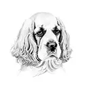 english cocker spaniel with long hair tattoo design idea