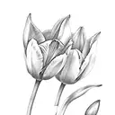 two tulips tattoo design idea