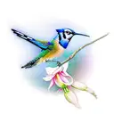 bluejay and a humming bird flying tattoo design idea