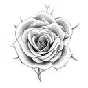rose with large curvy stem tattoo design idea