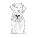 a labrador retriever tattoo design idea