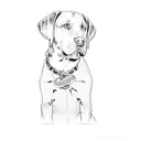 a labrador retriever tattoo design idea