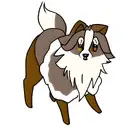 Shetland sheepdog tattoo design idea