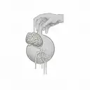 a hand holding a heart and brain tattoo design idea