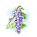 grape vine with biblical scripture  tattoo design idea