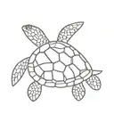 sea turtle tattoo design idea