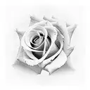 the name Alejandro with roses all around the name  tattoo design idea