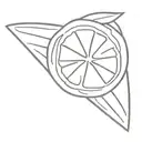 orange slice  tattoo design idea