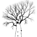 Aspen tree tattoo design idea