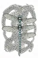 A dragonfly in the middle of a celtic knot with middle being a passageway to the afterlife  tattoo design idea