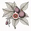 black and white fig branch dark green leaves and dark red and purple fruit  tattoo design idea