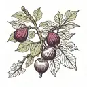 black and white fig branch dark green leaves and dark red and purple fruit  tattoo design idea