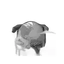 a hand holding a globe tattoo design idea