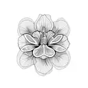 iris  tattoo design idea