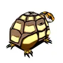 Eastern box turtle tattoo design idea