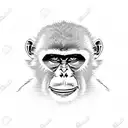 Monkey tattoo design idea