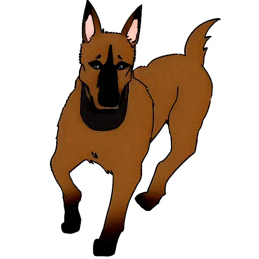 Belgian Malinois  tattoo design idea