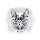 persian black cat tattoo design idea