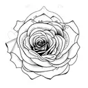 rose with coordinates  tattoo design idea