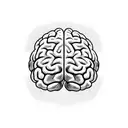 a realistic brain on top of a realistic heart tattoo design idea