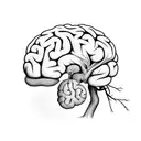 a realistic brain on top of a realistic heart tattoo design idea