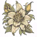 daylily tattoo design idea