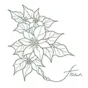 poinsettia and holly and date tattoo tattoo design idea