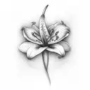 During my life, i have done good things and god gave me as a gift a Lilium tattoo design idea