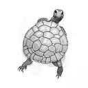 box turtle  tattoo design idea