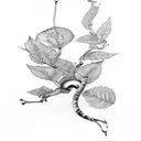 magpie, Aspen leaf, frog, tortoise  tattoo design idea