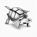 tortoise tattoo design idea