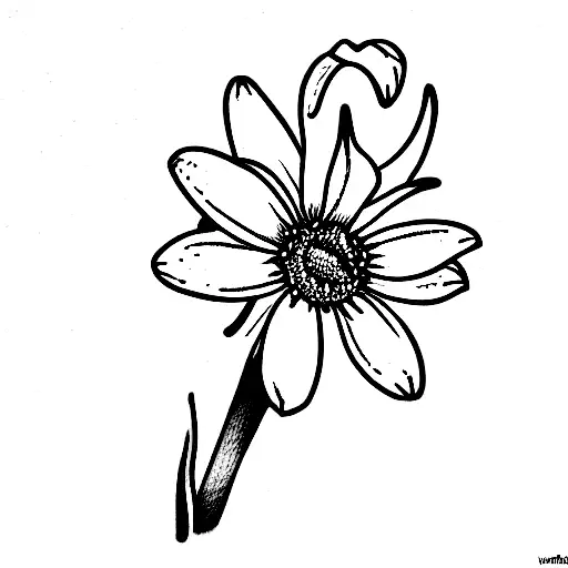Lilly of the valley, daisy, narcissus, aster tattoo design idea