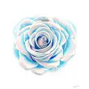 Rosa azul com cruz  tattoo design idea