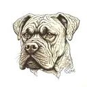 cane corso tattoo design idea