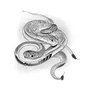 snake leonardo de vinci tattoo design idea