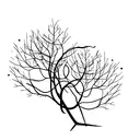 two trees one leafless upside down and one full of life right side up tattoo design idea