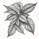 Bay leaf tattoo design idea