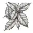Bay leaf tattoo design idea