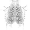 nervous system, cyber, geometry, black thin lines, spine, back tattoo design idea