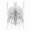 nervous system, cyber, geometry, black thin lines, spine, back tattoo design idea