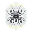 Spider tattoo design idea