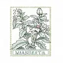 a stamp from massachusetts with a christmas cactus in it   tattoo design idea
