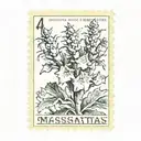 a stamp from massachusetts with a christmas cactus in it   tattoo design idea