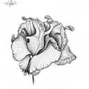iris  tattoo design idea