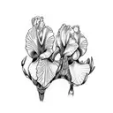 iris  tattoo design idea