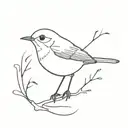 outline robin bird tattoo design idea